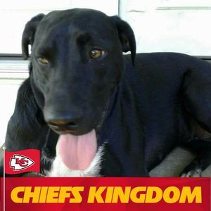 Meet your Posher, Mendy